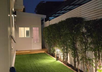 Modern backyard with artificial grass and evening lighting