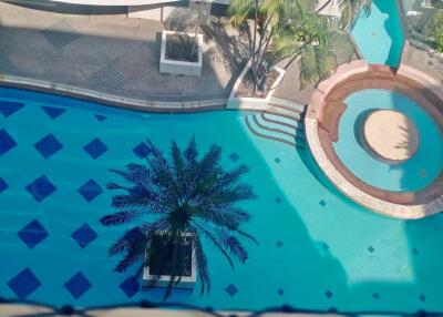 Outdoor swimming pool with palm trees and seating area