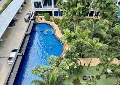 Aerial view of a residential pool and garden