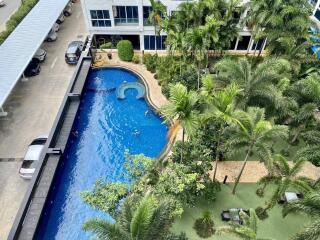 Aerial view of a residential pool and garden