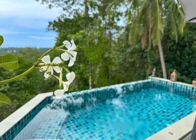 3 Bedroom and 1 studio Sea View in Lipanoi Koh Samui "SALE"