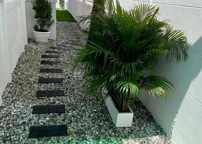 Outdoor paved walkway with decorative plants