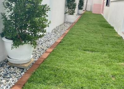 Narrow outdoor garden with potted plants