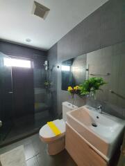 Modern bathroom with shower and sink