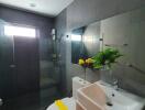 Modern bathroom with shower and sink