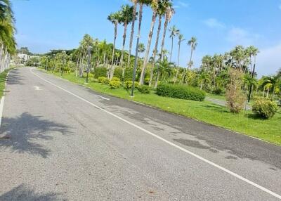 Scenic road with palm trees and blue sky