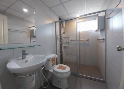 Modern bathroom with shower and toilet