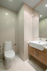 Modern bathroom with toilet and sink