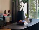 Modern living room with coffee table and indoor plants