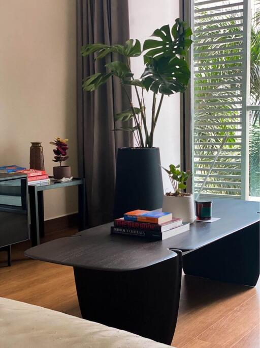 Modern living room with coffee table and indoor plants