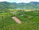 Aerial view of a green landscape with a lake and mountains in the background