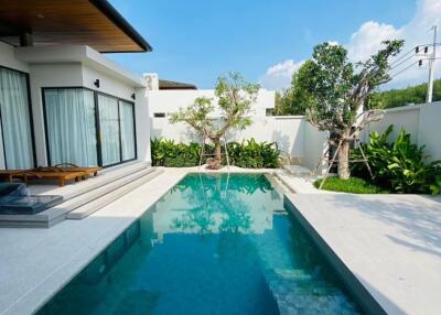 Modern backyard pool area with greenery