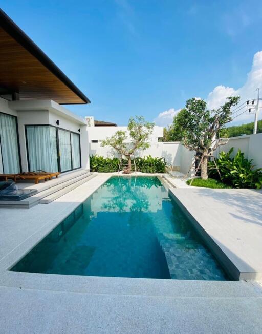 Modern backyard pool area with greenery