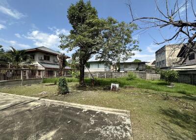 Spacious backyard with large trees and neighboring houses