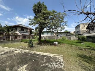 Spacious backyard with large trees and neighboring houses