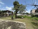 Spacious backyard with large trees and neighboring houses