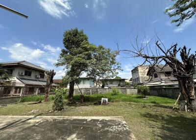 Spacious backyard with trees and neighboring houses