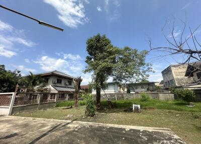 Spacious yard with trees and surrounding houses