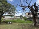 Backyard with trees and grassy area