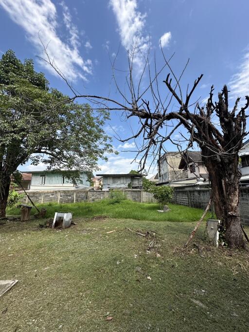 Backyard with trees and grassy area