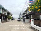 street view of residential area with houses and yellow flowers