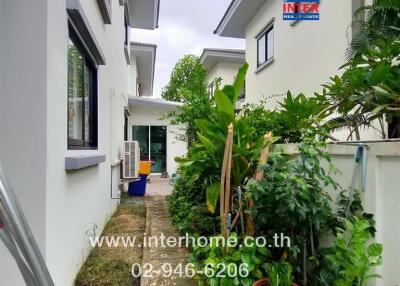 Side yard garden with pathway and plants