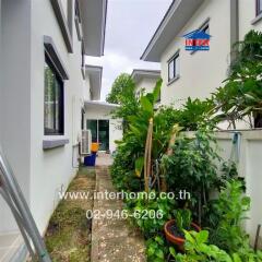 Side yard garden with pathway and plants