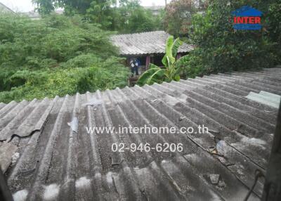 View of the backyard from a higher perspective