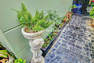 Beautifully landscaped garden pathway