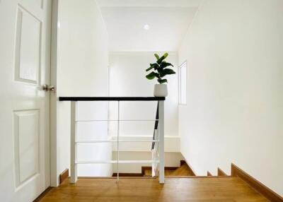 Clean and bright stairwell with wooden flooring and a potted plant