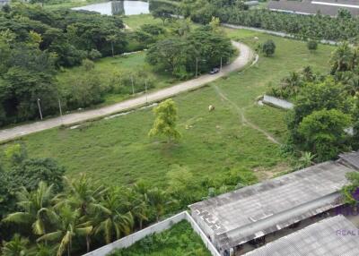 Land for sale 3 Ngan 66 sqe near Sannameng Temple, Sansai ,Chiang Mai