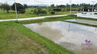 Land for sale 1 Rai 85 sqw at Chae Chang, Sankampheang,Chiang mai