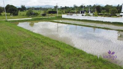 Land for sale 1 Rai 85 sqw at Chae Chang, Sankampheang,Chiang mai