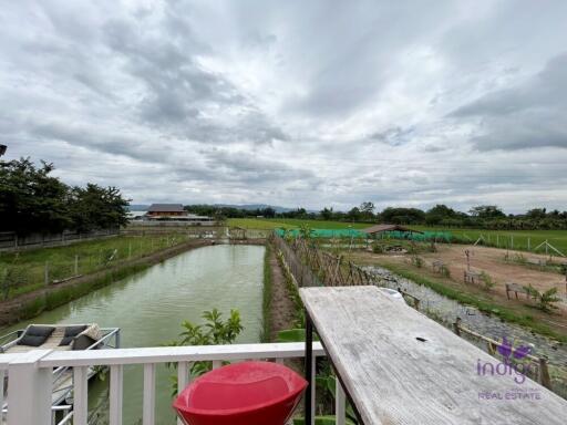 House amongst nature for sale! Large land and large pond! Mae Rim, Chiang Mai.