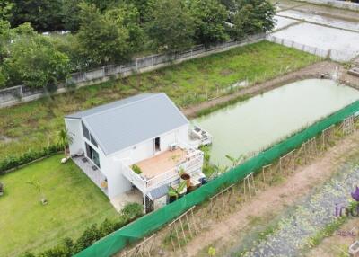 House amongst nature for sale! Large land and large pond! Mae Rim, Chiang Mai.