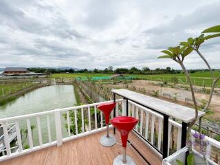 House amongst nature for sale! Large land and large pond! Mae Rim, Chiang Mai.