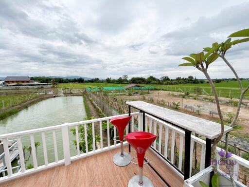 House amongst nature for sale! Large land and large pond! Mae Rim, Chiang Mai.