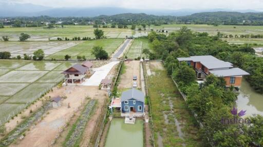 House amongst nature for sale! Large land and large pond! Mae Rim, Chiang Mai.