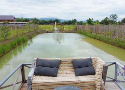 House amongst nature for sale! Large land and large pond! Mae Rim, Chiang Mai.