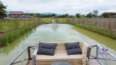 House amongst nature for sale! Large land and large pond! Mae Rim, Chiang Mai.