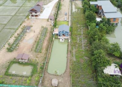 House amongst nature for sale! Large land and large pond! Mae Rim, Chiang Mai.