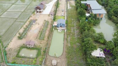 House amongst nature for sale! Large land and large pond! Mae Rim, Chiang Mai.