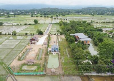 House amongst nature for sale! Large land and large pond! Mae Rim, Chiang Mai.