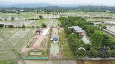 House amongst nature for sale! Large land and large pond! Mae Rim, Chiang Mai.