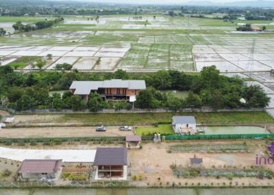 House amongst nature for sale! Large land and large pond! Mae Rim, Chiang Mai.