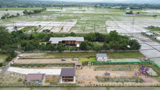 House amongst nature for sale! Large land and large pond! Mae Rim, Chiang Mai.