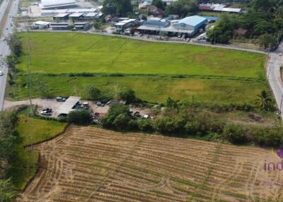 Land for sale 1 Rai 2 Ngan 98.2 Sqw , good location near nong chom intersection 2 km, Sanphisuea, Muang, Chiang Mai