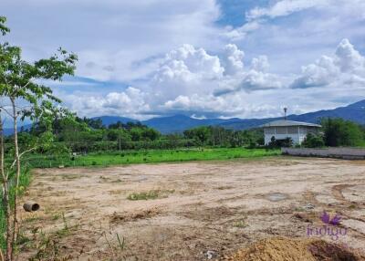 Land for sale 2 plots ,1 Rai 1 Ngan each near Prem School ,Mae Rim, Chiang Mai.