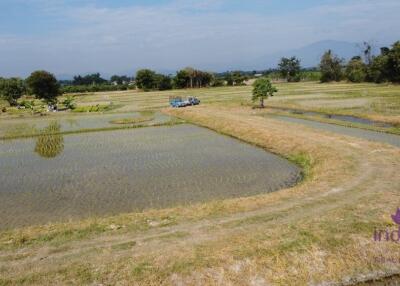 Land for sale 23 Rai 374 Sqw 9 plot separate  with chanod at Koonkong ,Hangdong ,Chiang Mai