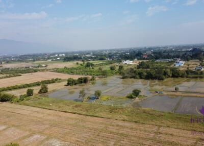 Land for sale 23 Rai 374 Sqw 9 plot separate  with chanod at Koonkong ,Hangdong ,Chiang Mai